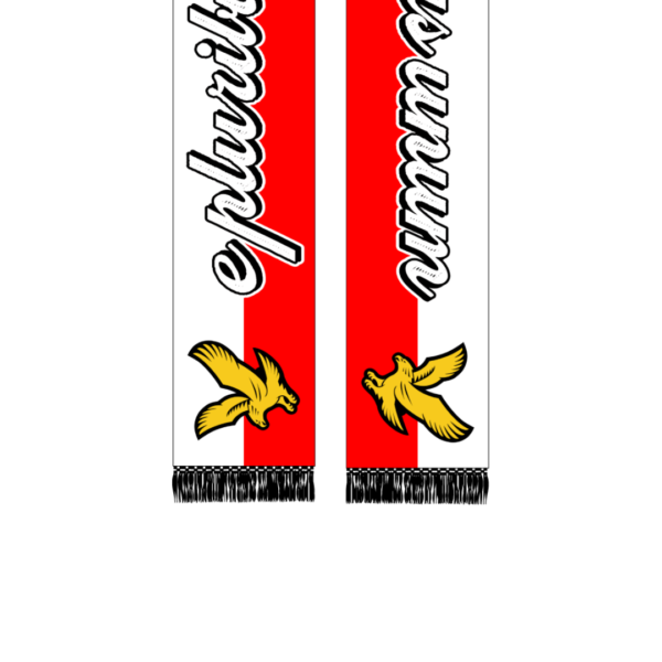 Cachecol Águias - Image 2